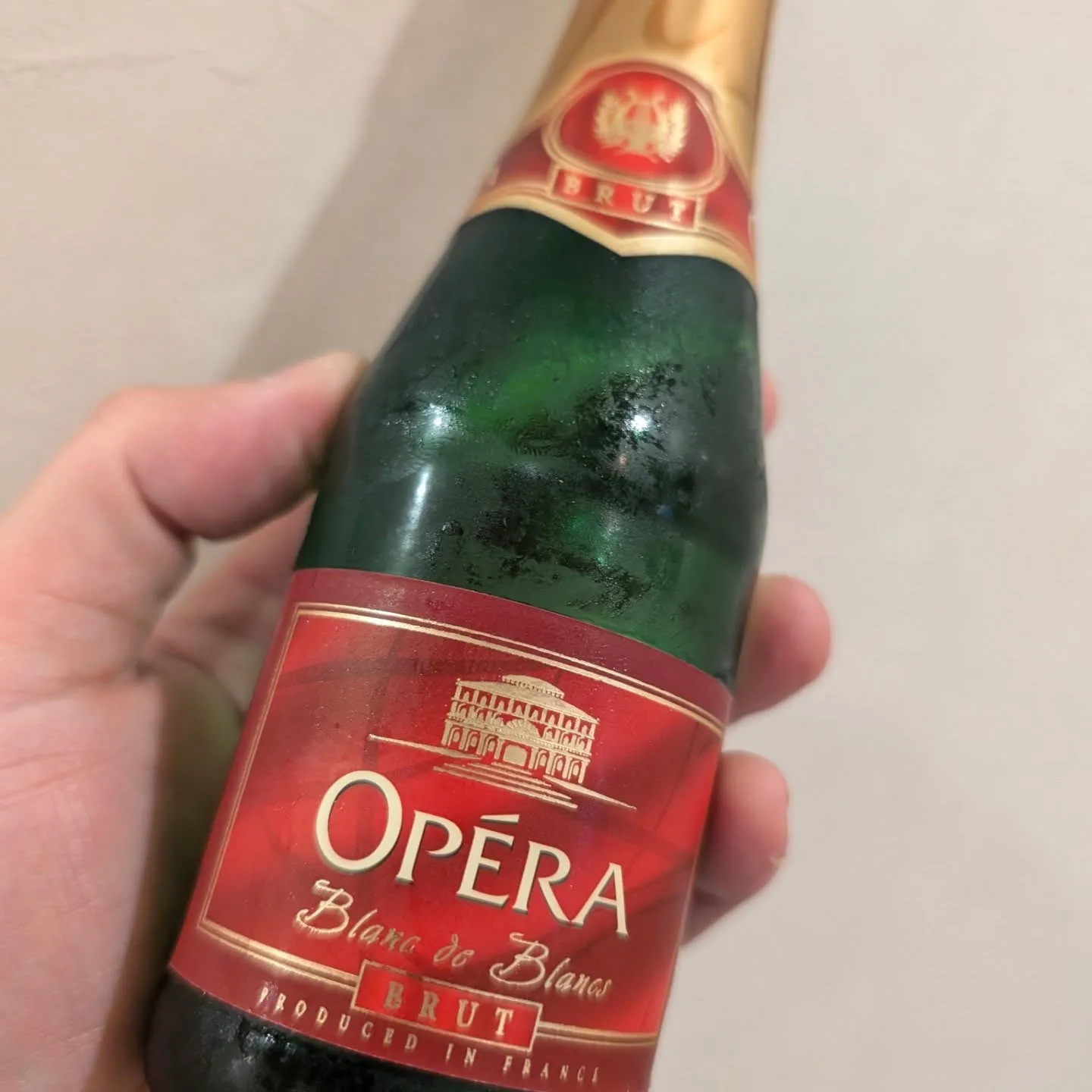📣 「濃厚な旨味のパネンクンをランチでも！」