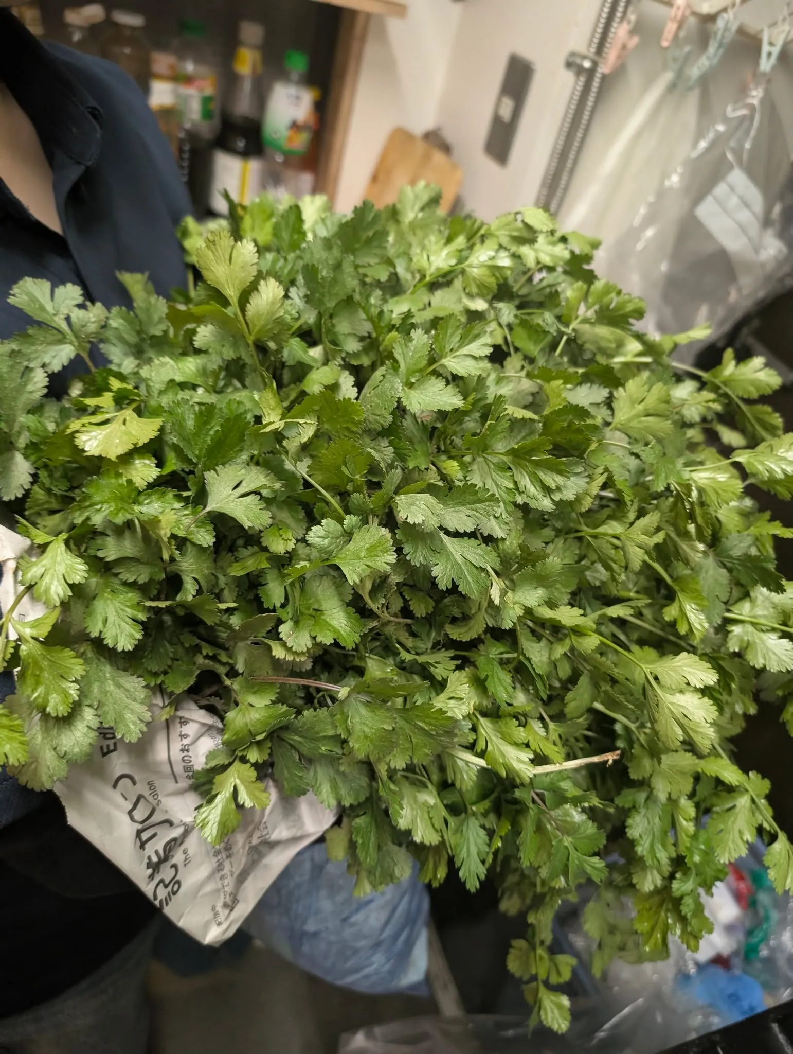 🍃🦐【お昼から呑めるお店「ウアムファンタイ」】🌶🍃