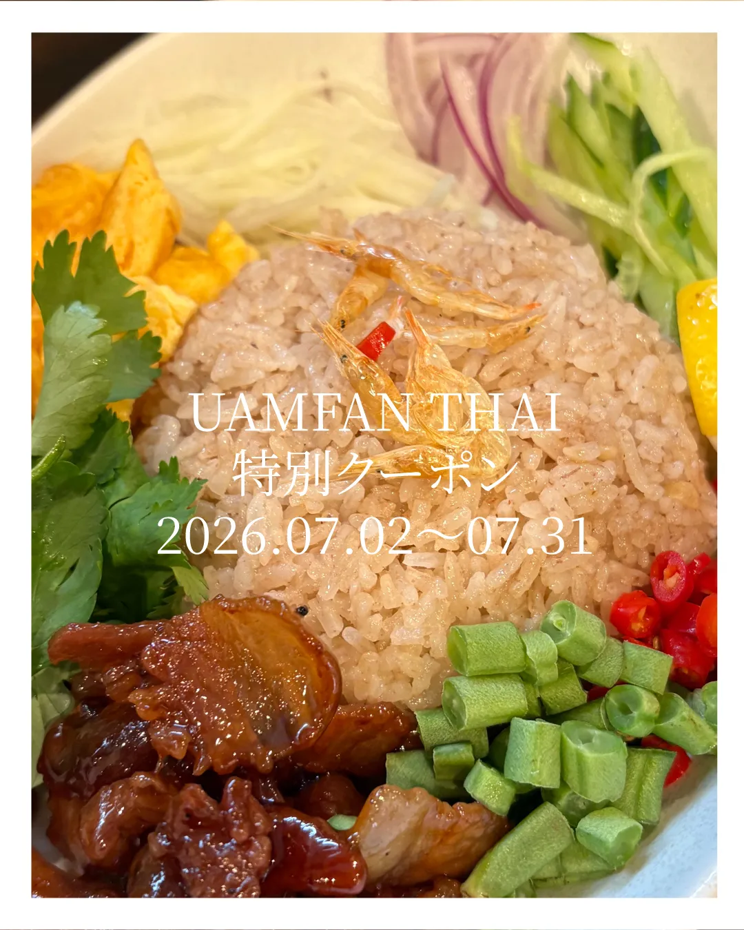 🎁【7/1(水)21:00までのご登録限定】公式アプリ「TO...
